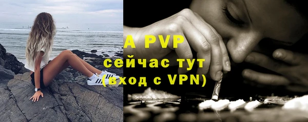 сатива Магас