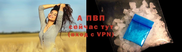 сатива Магас