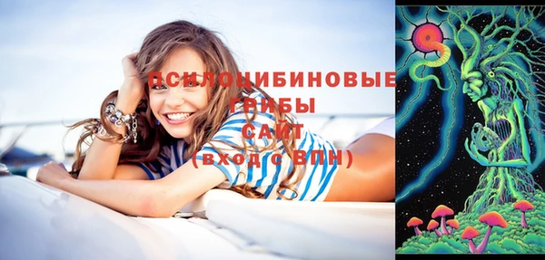 сатива Магас