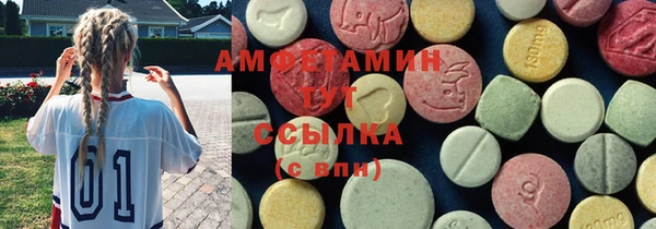 гидра Ачинск
